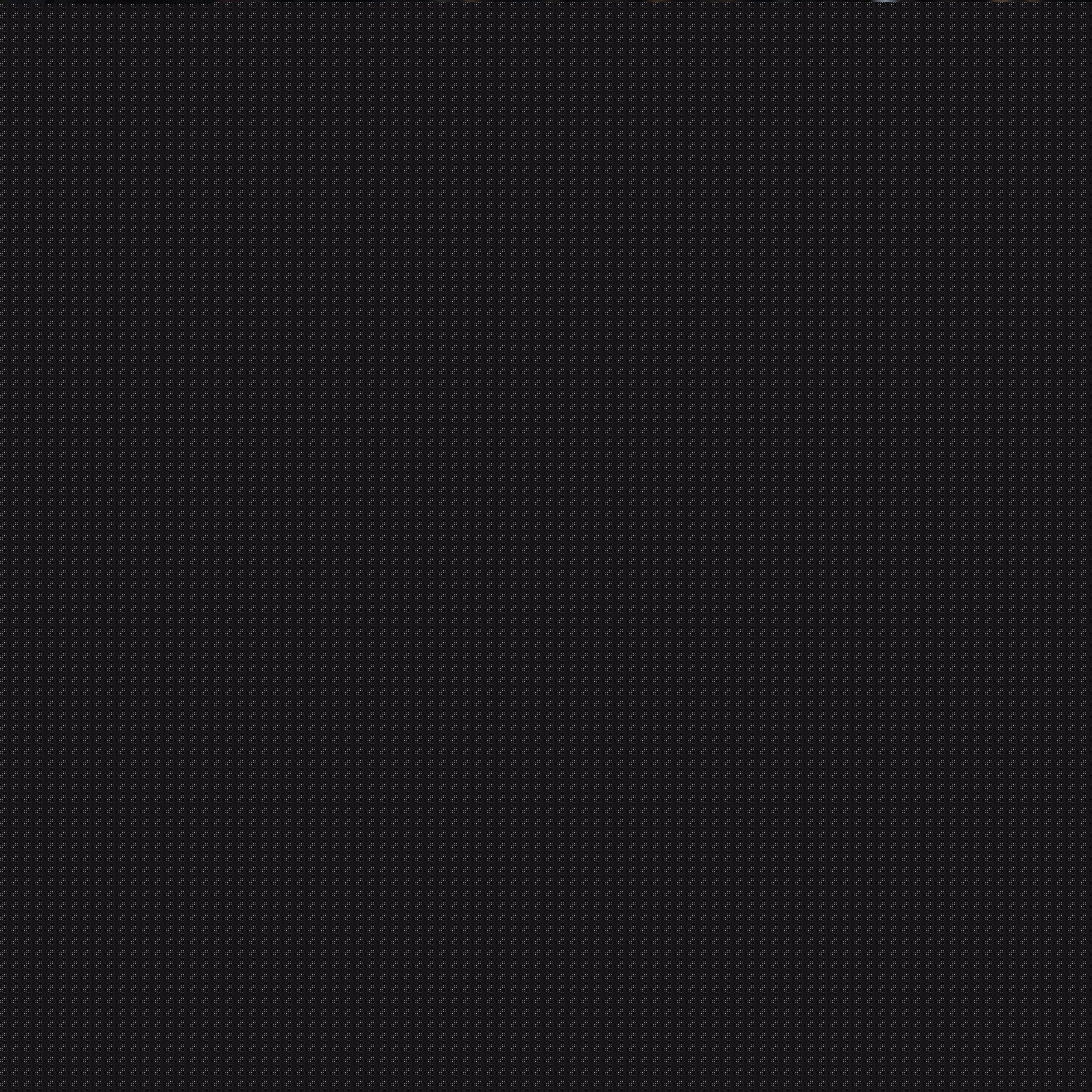 的延续