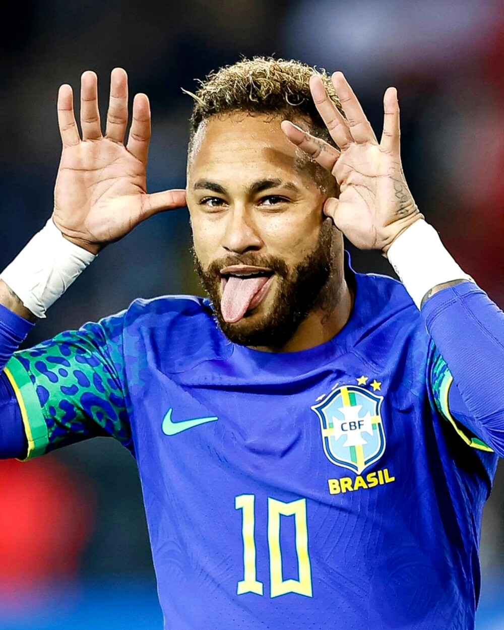 度有反弹趋 度有反弹趋