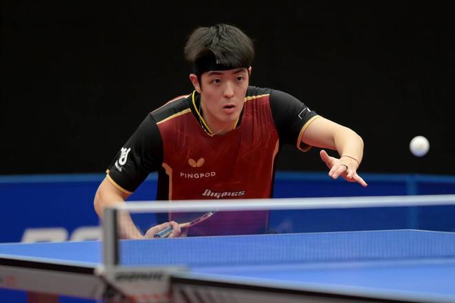 他们巧妙结 他们巧妙结